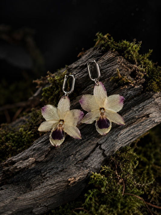 Sylphide, boucles d’oreilles Olibria en véritables orchidées séchées et résinées, sur créoles en acier inoxydable argenté.